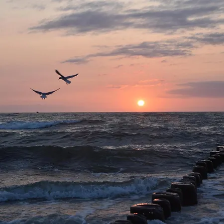 Appartement Promil Spa, Basen, Sauna, Jacuzzi I Silownia *