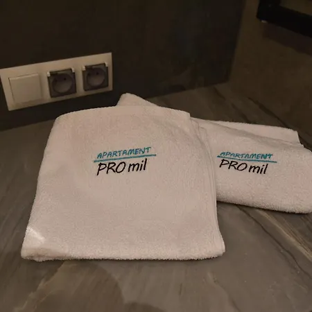 Promil Spa, Basen, Sauna, Jacuzzi I Silownia *