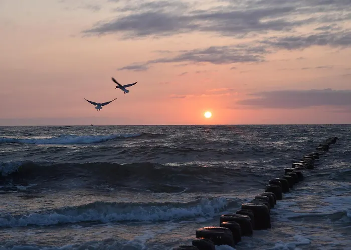 Διαμέρισμα Promil Spa, Basen, Sauna, Jacuzzi I Silownia *