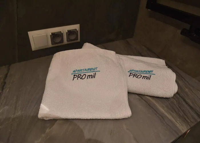 Promil Spa, Basen, Sauna, Jacuzzi I Silownia *